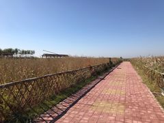 -东方华地城湿地温泉度假区