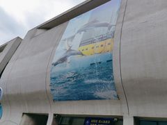 -合肥海洋世界