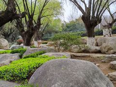 -中国唐苑
