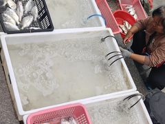 -霞涌市场海鲜摆卖区