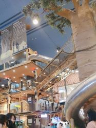 -卡通尼·Safari非洲探索乐园·生日会(金桥国际商业广场店)