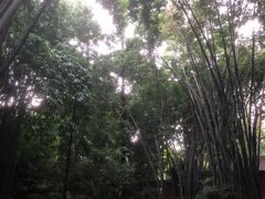 -望江楼公园
