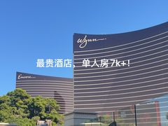 -拉斯维加斯永利酒店