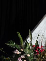 -DNA Wedding 婚礼记(上海店)