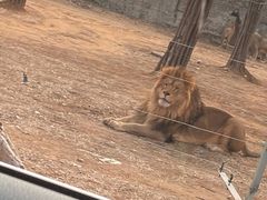 -秦皇岛野生动物园