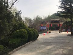 -凤凰欢乐谷