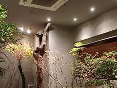 -森SPA·泰式按摩·精油Massage(宝安中心店)