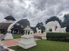 -清迈夜间动物园