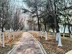 -西安汉城湖景区