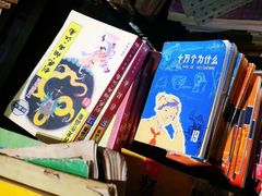 -苏州艺都古玩花鸟市场