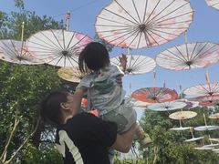 -武汉紫薇都市田园