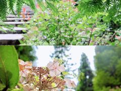 -山王坪喀斯特国家生态公园
