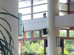 -亚龙湾喜来登·美景台大堂吧
