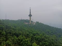 -岳麓山风景名胜区
