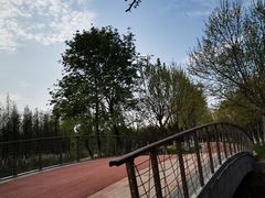 -潜龙渠公园
