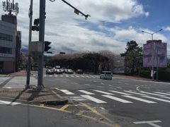 -信不信由你博物馆