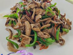 五台山野生台蘑-天天向上素食餐厅(五台山店)
