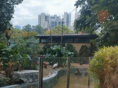 -熊猫自助餐厅.萌趣城堡(长隆熊猫酒店)