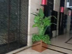 -洛阳宴·洛阳菜(南昌路店)