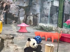 -栾川竹海野生动物园