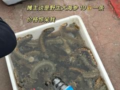 -东戴河风景区