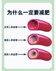 -Fundi张玉珊修身堂·indiba·BTL科技瘦身