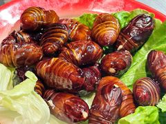 -张牌牌·东北烤肉小吃市集(金楠天街店)