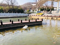 -万佛湖风景区