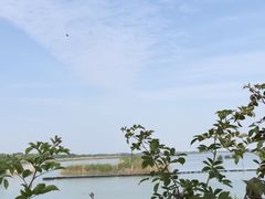 -贡湖湾湿地公园