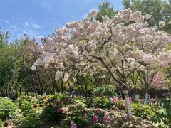 -江南大学(蠡湖校区)