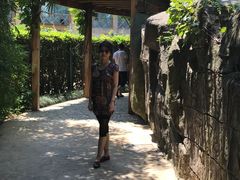 -热带风暴水上乐园(新镇路)
