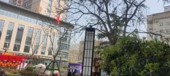 -河南中医药大学第一附属医院-医疗整形