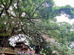 -云水谣景区
