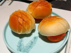 -新兴·金羊座·粤菜点心(乐峰店)