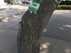 -大连人民广场