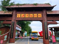 -北海金海湾红树林生态旅游区