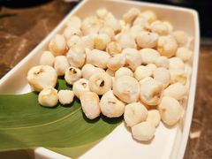 -同仁四季椰子鸡(罗湖国贸店)