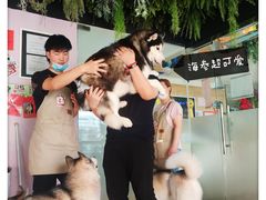 -Husky Go! 哈士奇体验馆·宠物咖啡厅狗咖