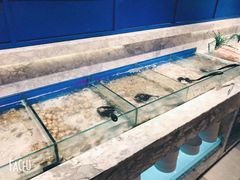 水产区-火锅岛潮牌自助餐厅(天津天佑城店)