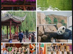 -成都动物园