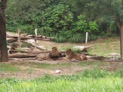 -北京野生动物园