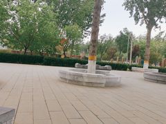 -东升八家郊野公园