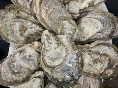 -蚝专家(北滘店)