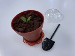 -123+智汇成长中心(保利时光里中心)