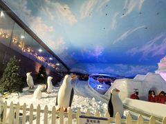 -世界之窗阿尔卑斯冰雪世界