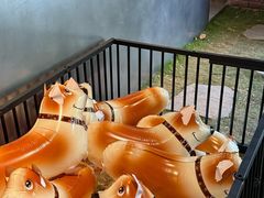 -J Create城市露营咖啡·简餐·宠物(上海动物园店)