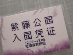 -嘉定紫藤园
