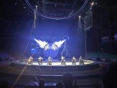 -蓬莱欧乐堡梦幻世界