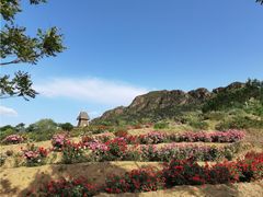 -密云玫瑰情园