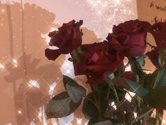 -西西这里民谣酒馆